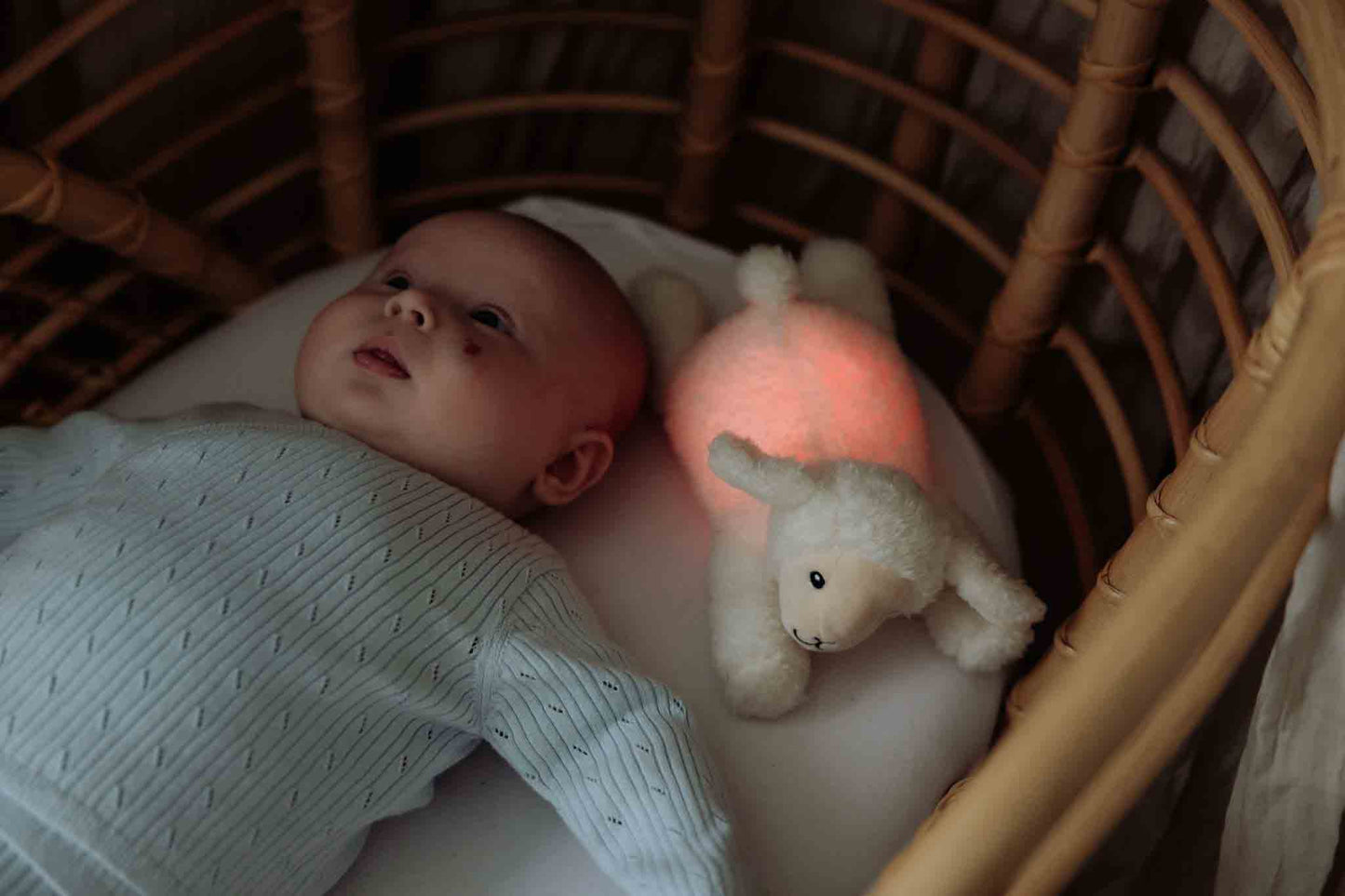 Rosie (beige) - Plush night light