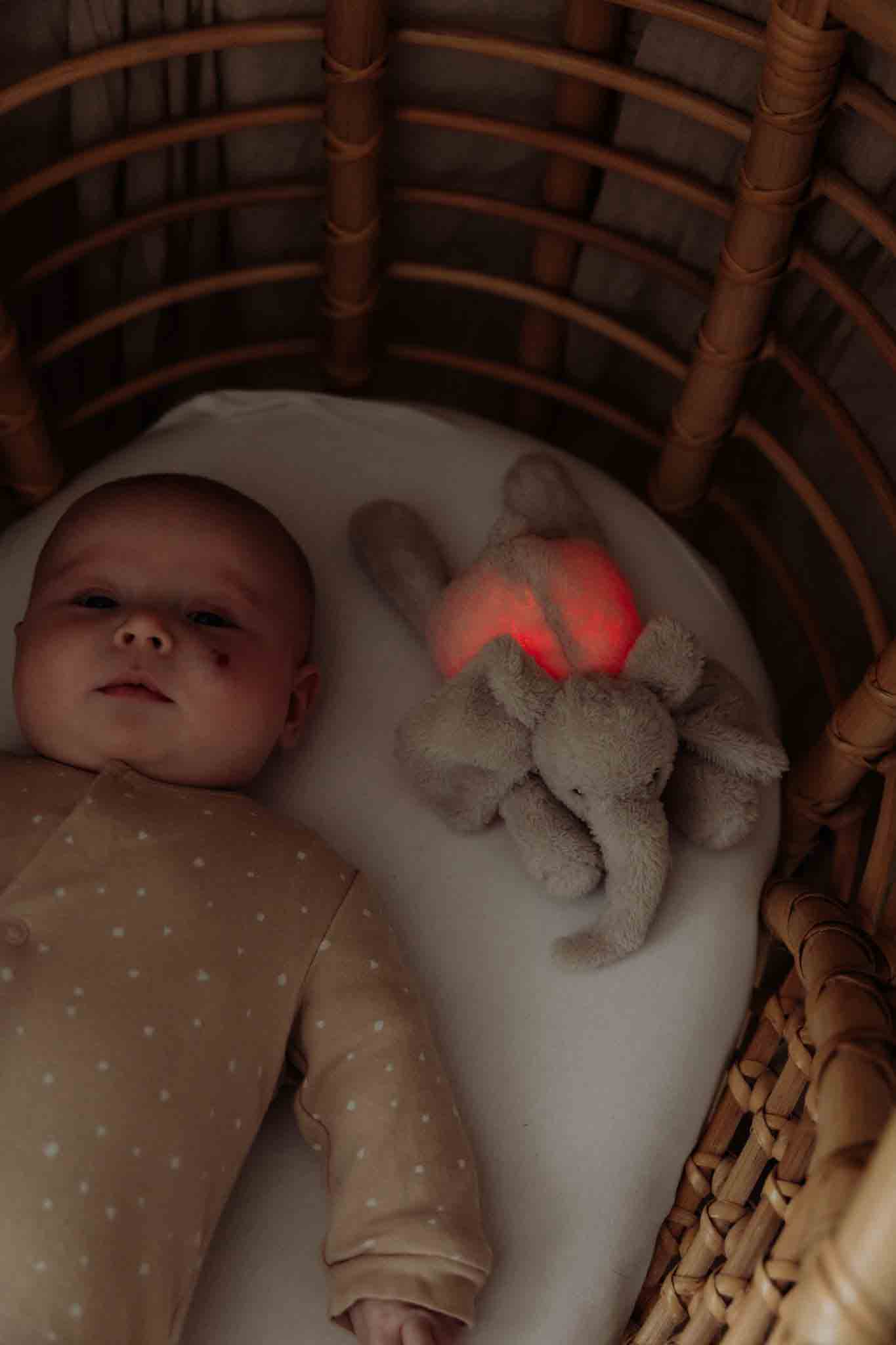 George (blush) - Plush night light